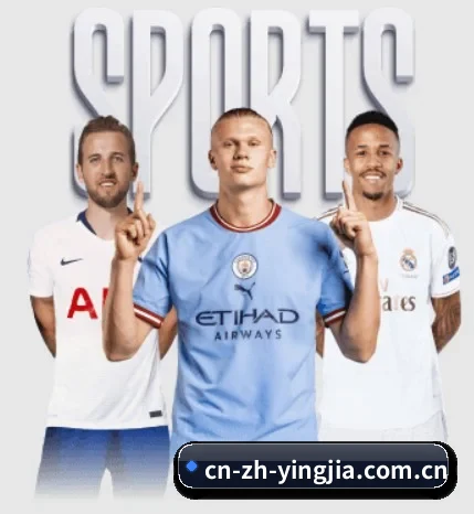 本站五个常用功能入口,赛程查询路径更短 | yingjiasports